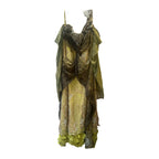 Cloaked Fairy