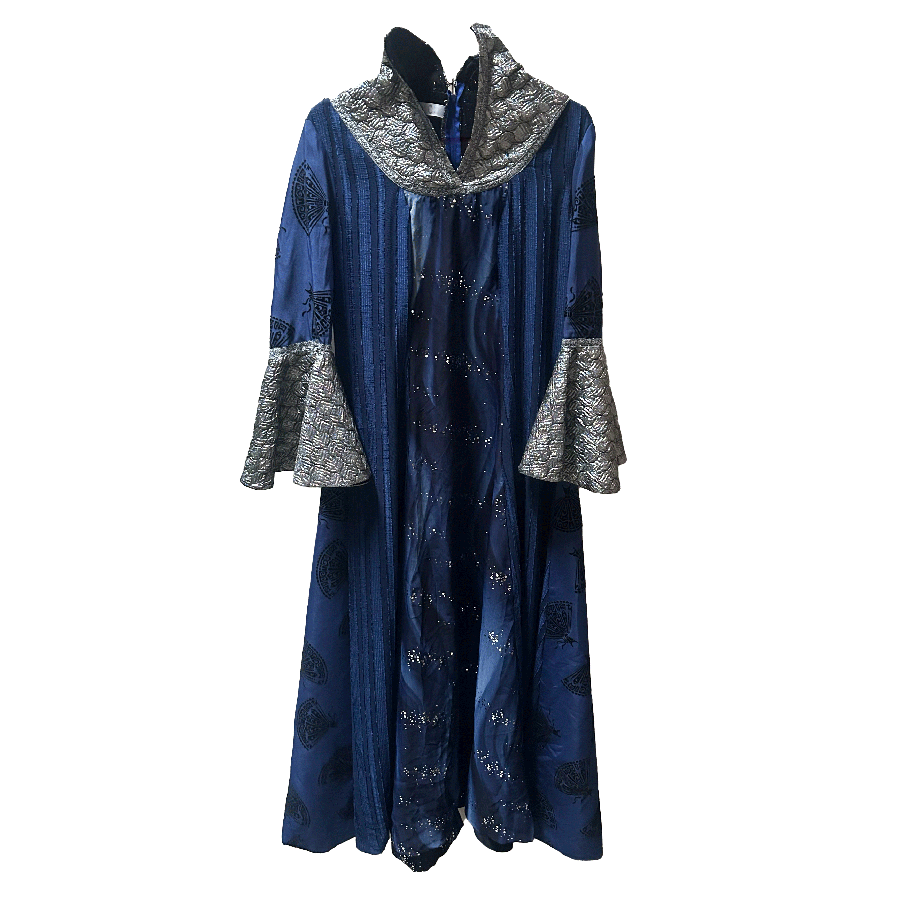Silver Wizard